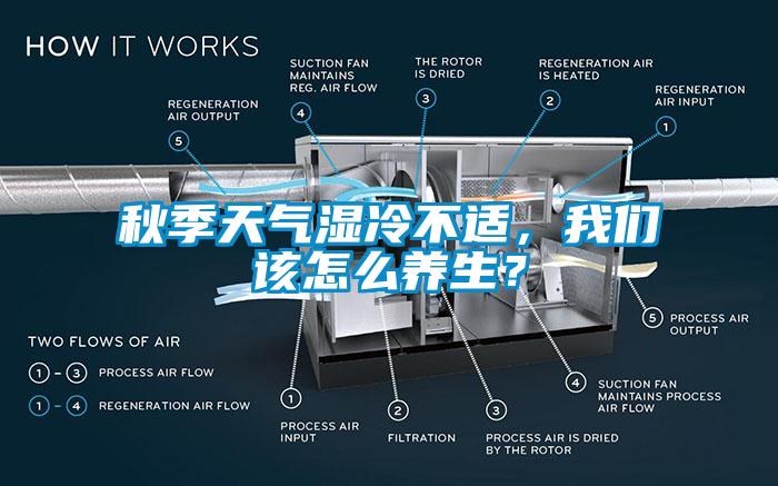 秋季天氣濕冷不適，我們該怎么養(yǎng)生？