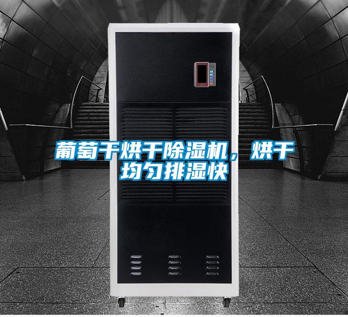 葡萄干烘干除濕機(jī)，烘干均勻排濕快
