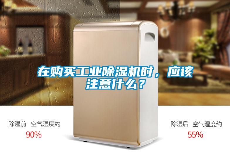 在購買工業(yè)除濕機(jī)時(shí)，應(yīng)該注意什么？