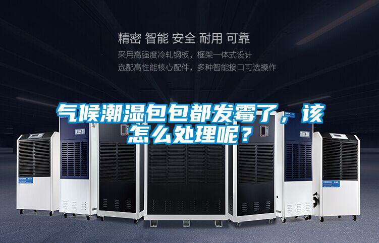 氣候潮濕包包都發(fā)霉了，該怎么處理呢？