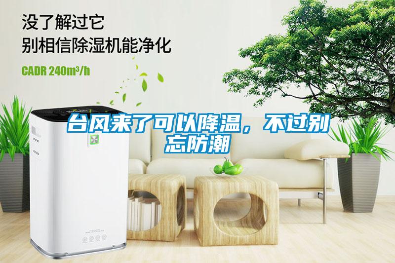 臺(tái)風(fēng)來了可以降溫，不過別忘防潮