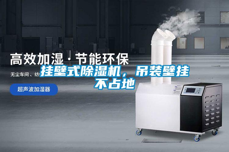 掛壁式除濕機(jī)，吊裝壁掛不占地