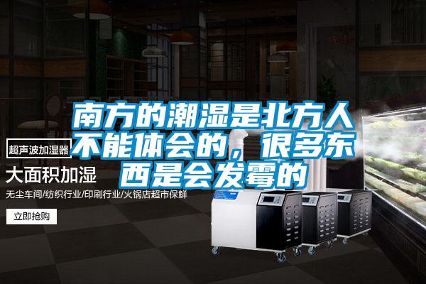 南方的潮濕是北方人不能體會的，很多東西是會發(fā)霉的