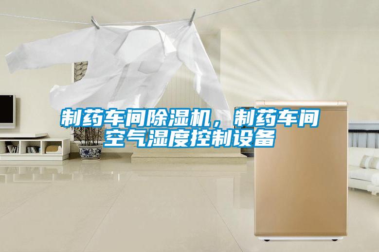 制藥車間除濕機，制藥車間空氣濕度控制設(shè)備