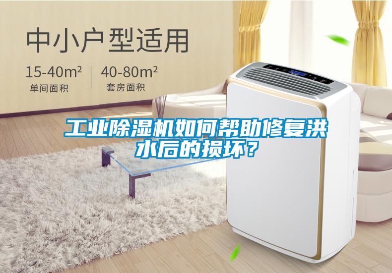 工業(yè)除濕機(jī)如何幫助修復(fù)洪水后的損壞？