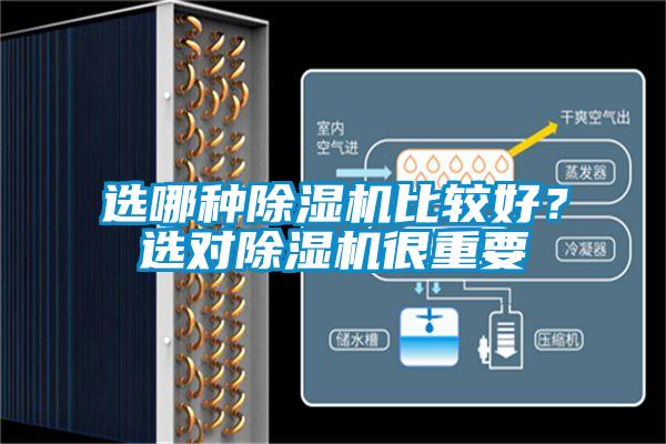 選哪種除濕機比較好？選對除濕機很重要