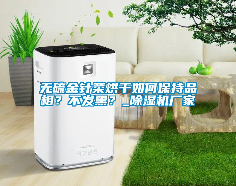 無硫金針菜烘干如何保持品相？不發(fā)黑？_除濕機廠家
