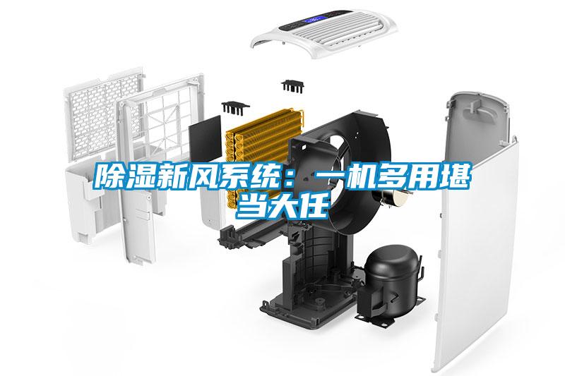 除濕新風(fēng)系統(tǒng)：一機多用堪當(dāng)大任