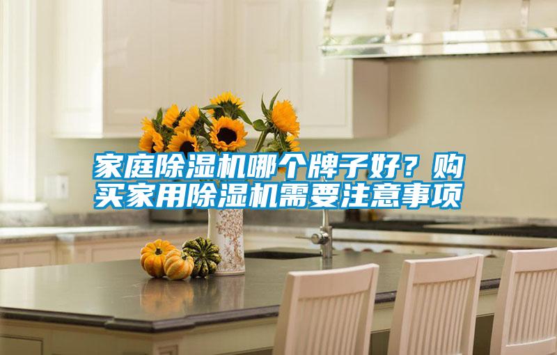 家庭除濕機哪個牌子好？購買家用除濕機需要注意事項