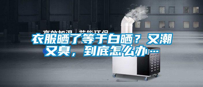 衣服曬了等于白曬？又潮又臭，到底怎么辦…