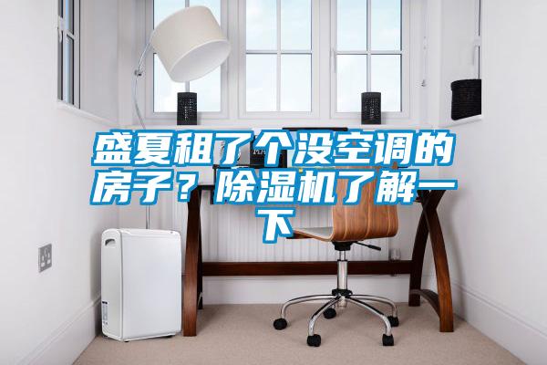 盛夏租了個沒空調的房子？除濕機了解一下