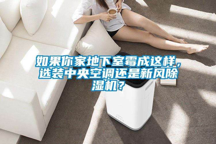 如果你家地下室霉成這樣，選裝中央空調(diào)還是新風(fēng)除濕機(jī)？