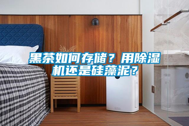 黑茶如何存儲？用除濕機(jī)還是硅藻泥？