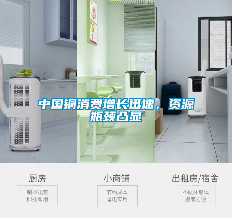 中國銅消費(fèi)增長迅速，資源瓶頸凸顯