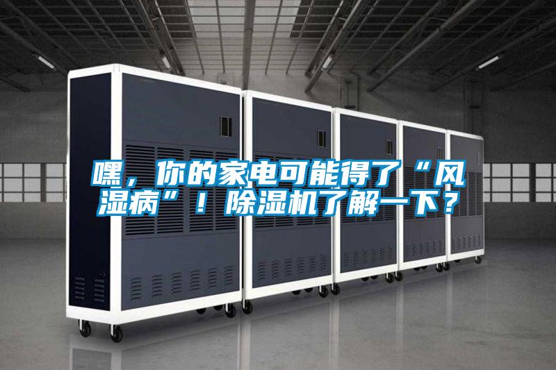 嘿，你的家電可能得了“風濕病”！除濕機了解一下？