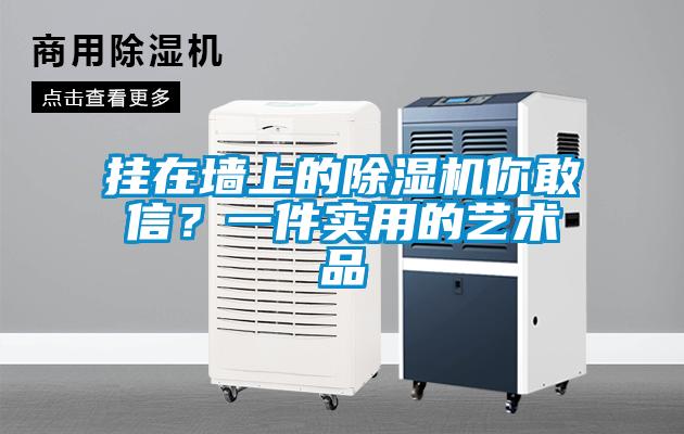 掛在墻上的除濕機你敢信？一件實用的藝術(shù)品