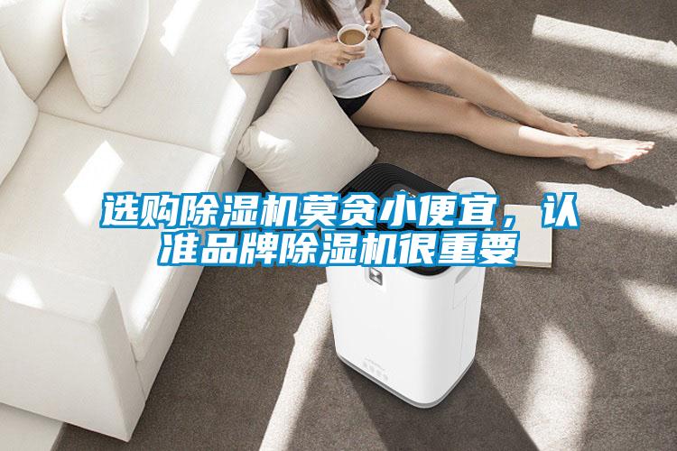 選購(gòu)除濕機(jī)莫貪小便宜，認(rèn)準(zhǔn)品牌除濕機(jī)很重要