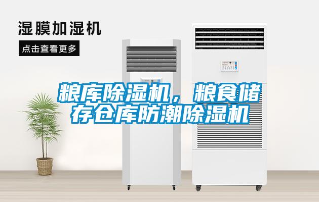 糧庫(kù)除濕機(jī)，糧食儲(chǔ)存?zhèn)}庫(kù)防潮除濕機(jī)