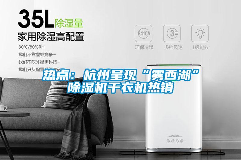 熱點(diǎn)：杭州呈現(xiàn)“霧西湖”除濕機(jī)干衣機(jī)熱銷(xiāo)