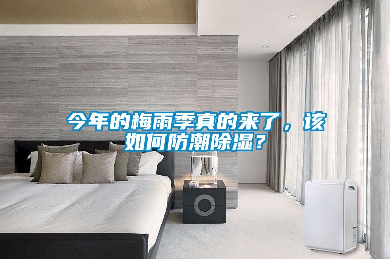 今年的梅雨季真的來了，該如何防潮除濕？