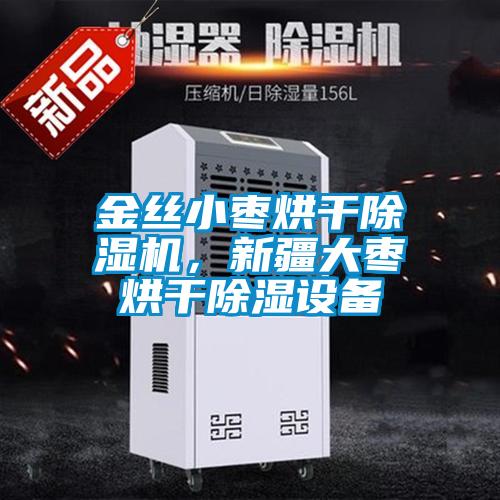 金絲小棗烘干除濕機，新疆大棗烘干除濕設(shè)備