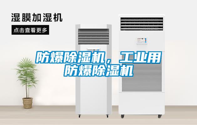 防爆除濕機(jī)，工業(yè)用防爆除濕機(jī)