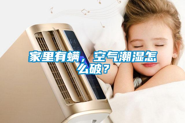 家里有螨，空氣潮濕怎么破？