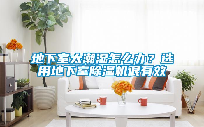 地下室太潮濕怎么辦？選用地下室除濕機(jī)很有效