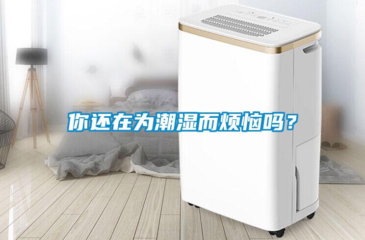你還在為潮濕而煩惱嗎？