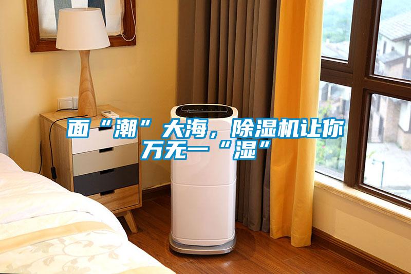 面“潮”大海，除濕機(jī)讓你萬(wàn)無(wú)一“濕”