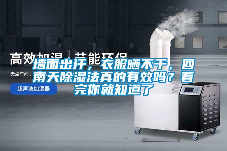 墻面出汗，衣服曬不干，回南天除濕法真的有效嗎？看完你就知道了