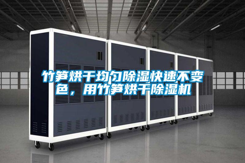 竹筍烘干均勻除濕快速不變色，用竹筍烘干除濕機(jī)