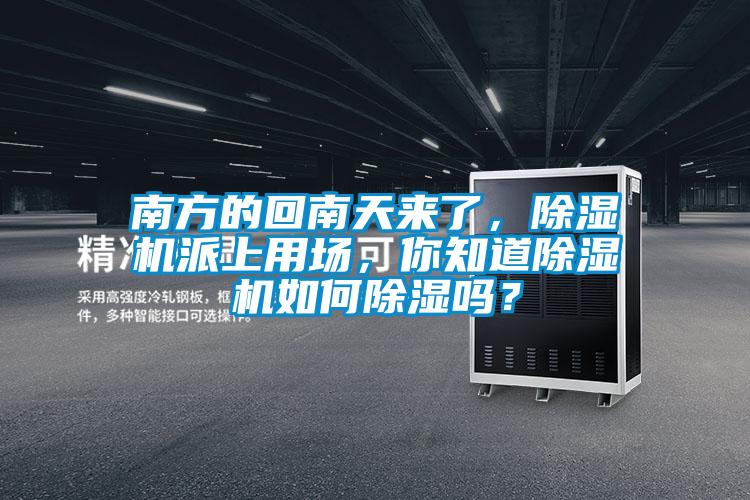 南方的回南天來(lái)了，除濕機(jī)派上用場(chǎng)，你知道除濕機(jī)如何除濕嗎？