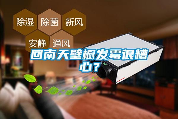 回南天壁櫥發(fā)霉很糟心？
