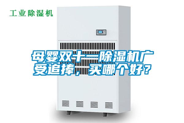 母嬰雙十一除濕機(jī)廣受追捧，買哪個(gè)好？