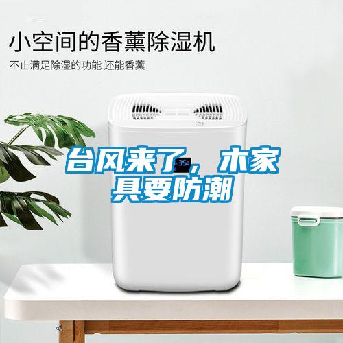 臺(tái)風(fēng)來了，木家具要防潮