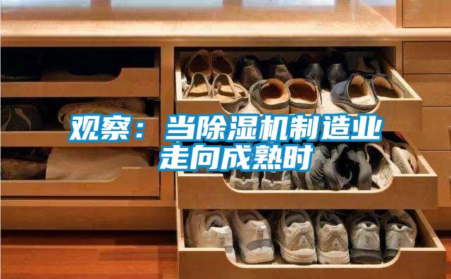 觀察：當(dāng)除濕機制造業(yè) 走向成熟時