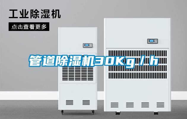 管道除濕機(jī)30Kg／h