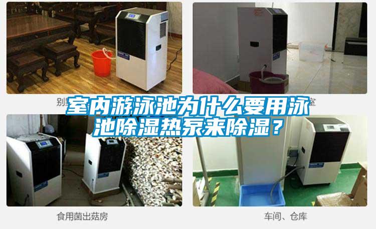 室內(nèi)游泳池為什么要用泳池除濕熱泵來除濕？