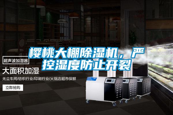 櫻桃大棚除濕機(jī)，嚴(yán)控濕度防止開(kāi)裂