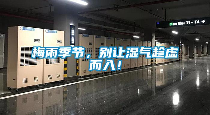梅雨季節(jié)，別讓濕氣趁虛而入！