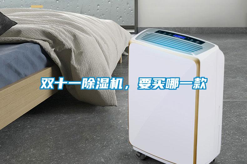 雙十一除濕機(jī)，要買哪一款