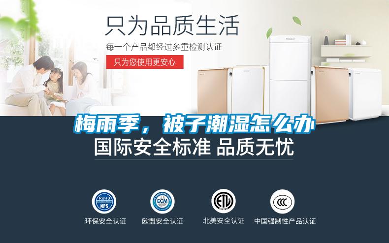 梅雨季，被子潮濕怎么辦