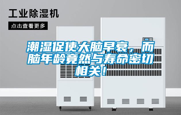 潮濕促使大腦早衰，而腦年齡竟然與壽命密切相關(guān)！