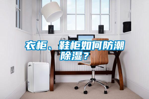 衣柜、鞋柜如何防潮除濕？