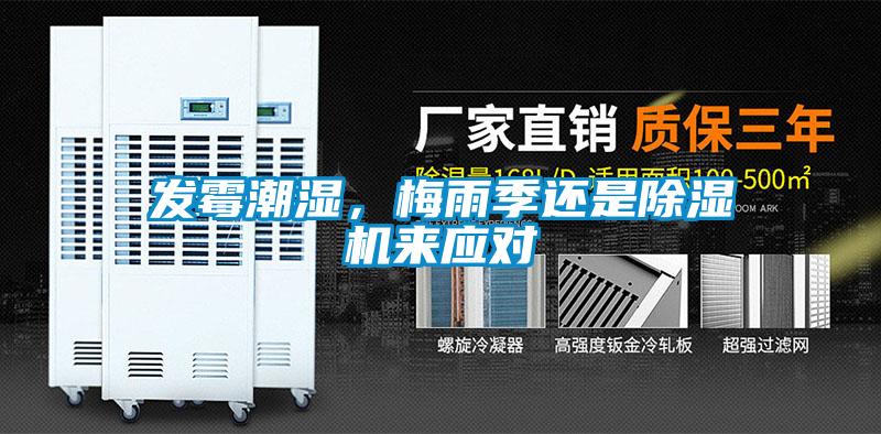 發(fā)霉潮濕，梅雨季還是除濕機來應對
