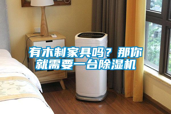 有木制家具嗎？那你就需要一臺除濕機