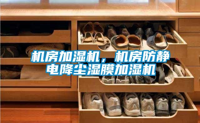 機(jī)房加濕機(jī)，機(jī)房防靜電降塵濕膜加濕機(jī)