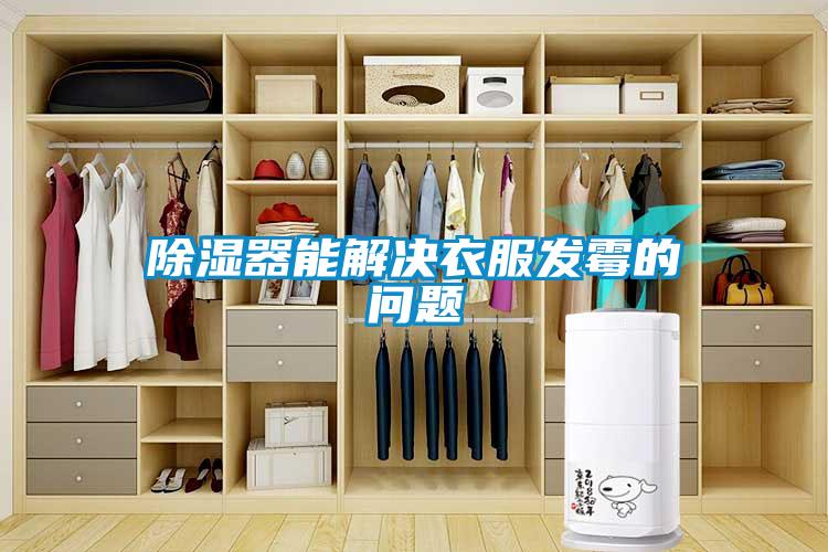 除濕器能解決衣服發(fā)霉的問(wèn)題