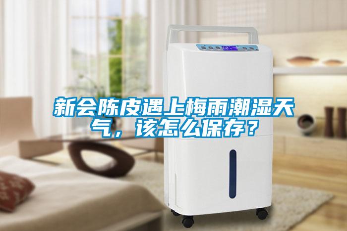 新會(huì)陳皮遇上梅雨潮濕天氣，該怎么保存？